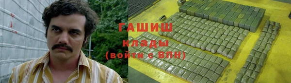 спиды Богородицк