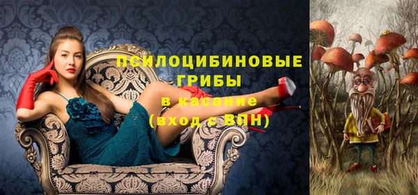 спиды Богородицк