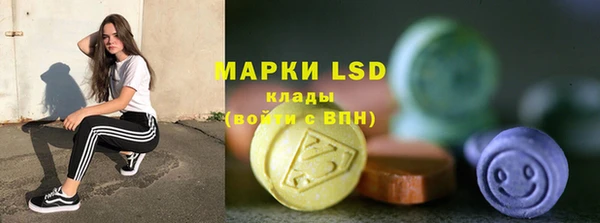 спиды Богородицк